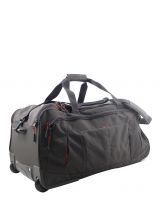 Voyage trolley Delsey 101220