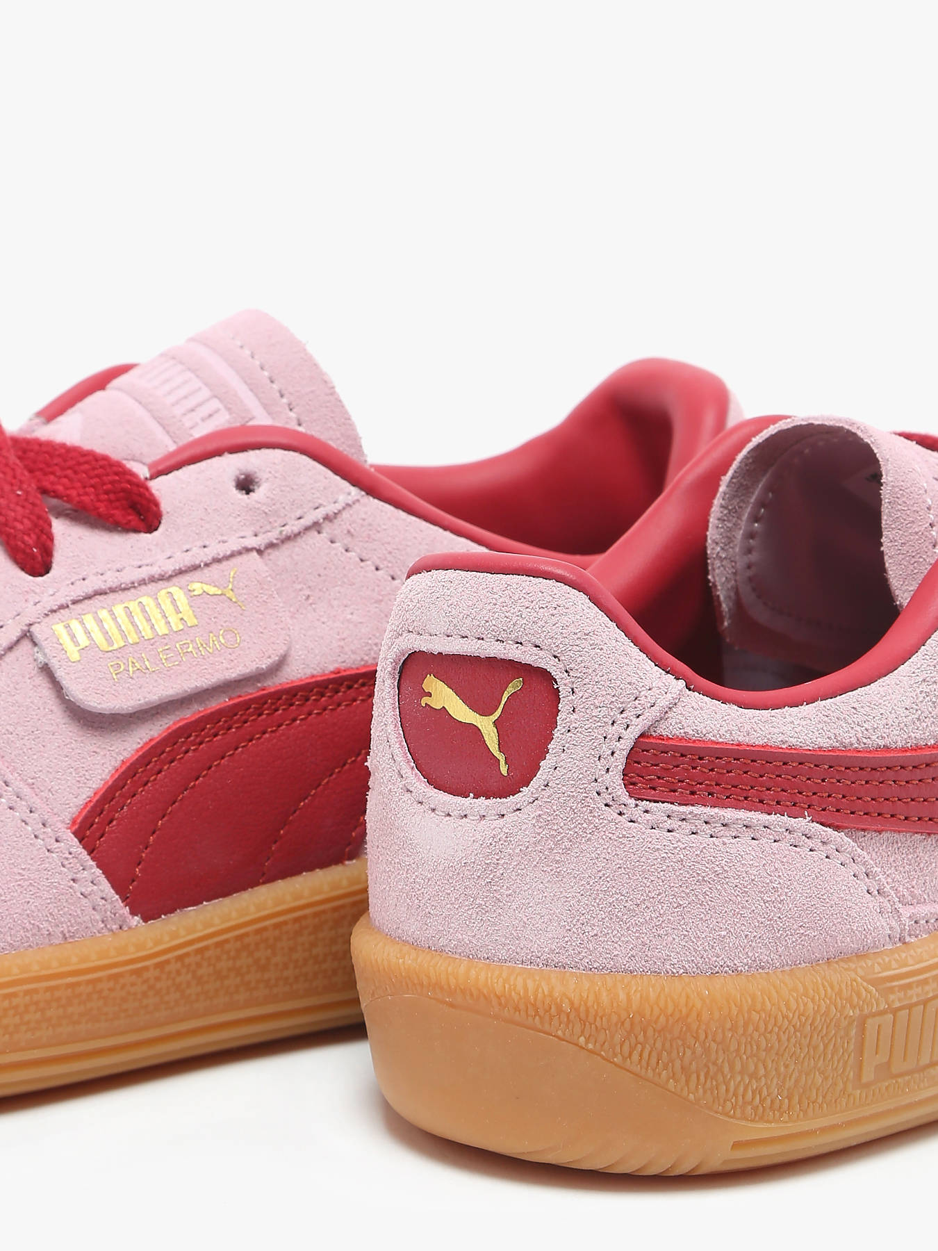 puma roses