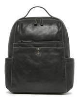 2-compartment  Backpack  With 15" Laptop Sleeve Basilic pepper Black traveler BTRA10