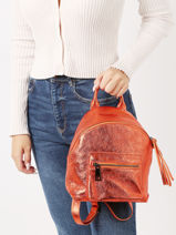 Leather Nine Backpack Milano Orange nine NI23066-vue-porte