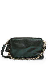 Crossbody Bag Vintage Leather Mila louise Green vintage 23673X