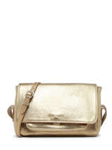 Crossbody Bag Vintage Paul marius Gold vintage DIANES