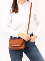 Sac Bandouli�re Diane  Xs Paul marius Marron vintage DIANEXS-vue-porte