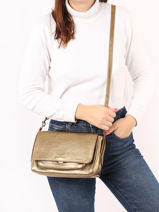 Sac Bandouli�re Diane S Paul marius Or vintage DIANES-vue-porte