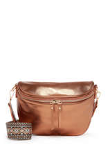 Belt Bag Miniprix Brown sangle 1