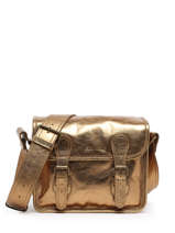 Leather La Sacoche Crossbody Bag Paul marius Gold vintage S