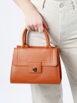 Top-handle Bag Gold Miniprix Brown gold HY5436-vue-porte