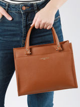 Satchel Foulonne Double Lancaster Brown foulonne double 63-vue-porte