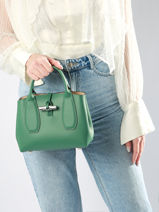 Longchamp Roseau box Handbag Green-vue-porte
