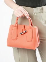 Longchamp Roseau Handbag Orange-vue-porte