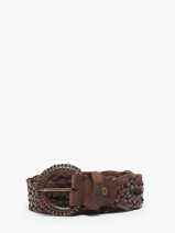 Belt Biba Brown accessoires GIL1A