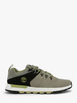 Sneakers Timberland Green men 6ABREX11
