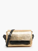 Sac Bandouli�re Diane Xs Noir Or Cuir Paul marius Or or noir DIANXORN