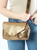 Small Leather Suzon Crossbody Bag Paul marius Gold vintage M-vue-porte