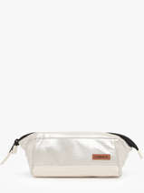 1 Compartment Pouch Cabaia Gold accessoire PENCIL