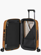 Expandable Cabin Luggage Samsonite Gold proxis 140087-vue-porte