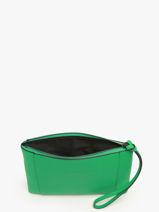 Longchamp Longchamp 3d Clutch / cosmetic case Green-vue-porte