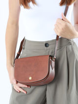 Longchamp Epure Messenger bag Brown-vue-porte