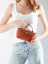 Longchamp Le pliage green Clutches Brown-vue-porte