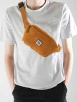 Sac Banane Basilic pepper Marron delhi BDEH05-vue-porte