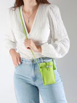 Longchamp Le roseau Etui ipod/cd Vert-vue-porte