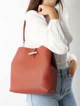 Longchamp Le roseau Hobo bag Brown-vue-porte