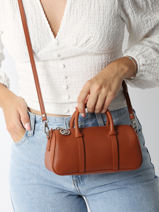 Longchamp Daylong Handbag Brown-vue-porte