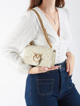 Sac Bandoulire Love Bag Icon Cuir Pinko Beige love bag icon A1YB-vue-porte