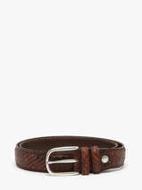 Belt Etrier Brown bride EBRI711C