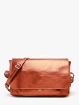 Sac Bandoulire Diane S Ginger Cuir Paul marius Marron ginger DIANSGIN