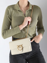 Shoulder Bag Love Bag Soft Leather Pinko Beige love bag soft 4528A29Q-vue-porte