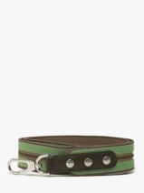Longchamp Bandoulire graphique Jewelry Green-vue-porte