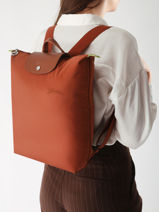 Longchamp Le pliage green Backpack Brown-vue-porte