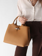 Longchamp Le roseau Sacs port� main Marron-vue-porte