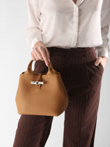 Longchamp Le roseau Sacs port� main Marron-vue-porte