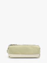 Le Cabas Pencil Case Sequins Vanessa bruno Green cabas 1V42030
