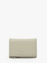 Wallet Dune David jones Green dune DJ0087