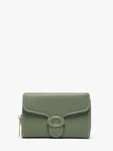 Porte-monnaie Porte-cartes Miniprix Vert safiano 78SM2650