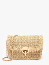 Shoulder Bag Moon Raphia Raphia Vanessa bruno Beige moon raphia 29V40533