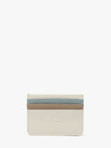 Card Holder Leather Crinkles White caviar 14320C