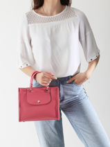 Longchamp Cabas longchamp Sacs port� main Rose-vue-porte