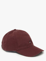 Casquette Tommy hilfiger Marron th flag AM13426-vue-porte