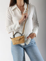 Longchamp Le pliage xtra Clutches Brown-vue-porte