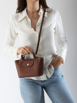 Longchamp Epure Messenger bag Brown-vue-porte