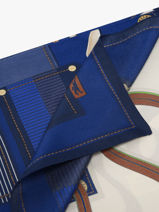 Longchamp Soie gots Scarves Blue-vue-porte