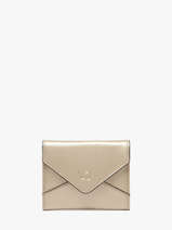Porte-monnaie Enveloppe Cuir Yves renard Or enveloppe 29250