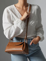 Sac Bandoulire Accordeon Double Cuir Lancaster Marron accordeon double 88-vue-porte