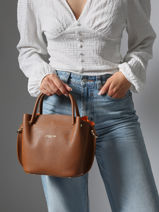 Leather Foulonn Double Satchel Lancaster Brown foulonne double louisa 18-vue-porte