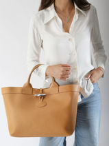 Longchamp Le roseau souple Sacs port� main Marron-vue-porte