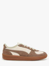 Sneakers Palermo Wine Club In Leather Puma Brown women 40334901